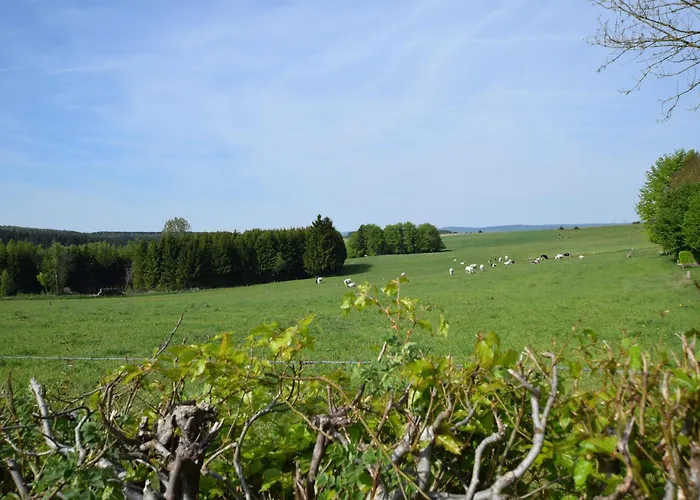 Apartamento In Ardenne